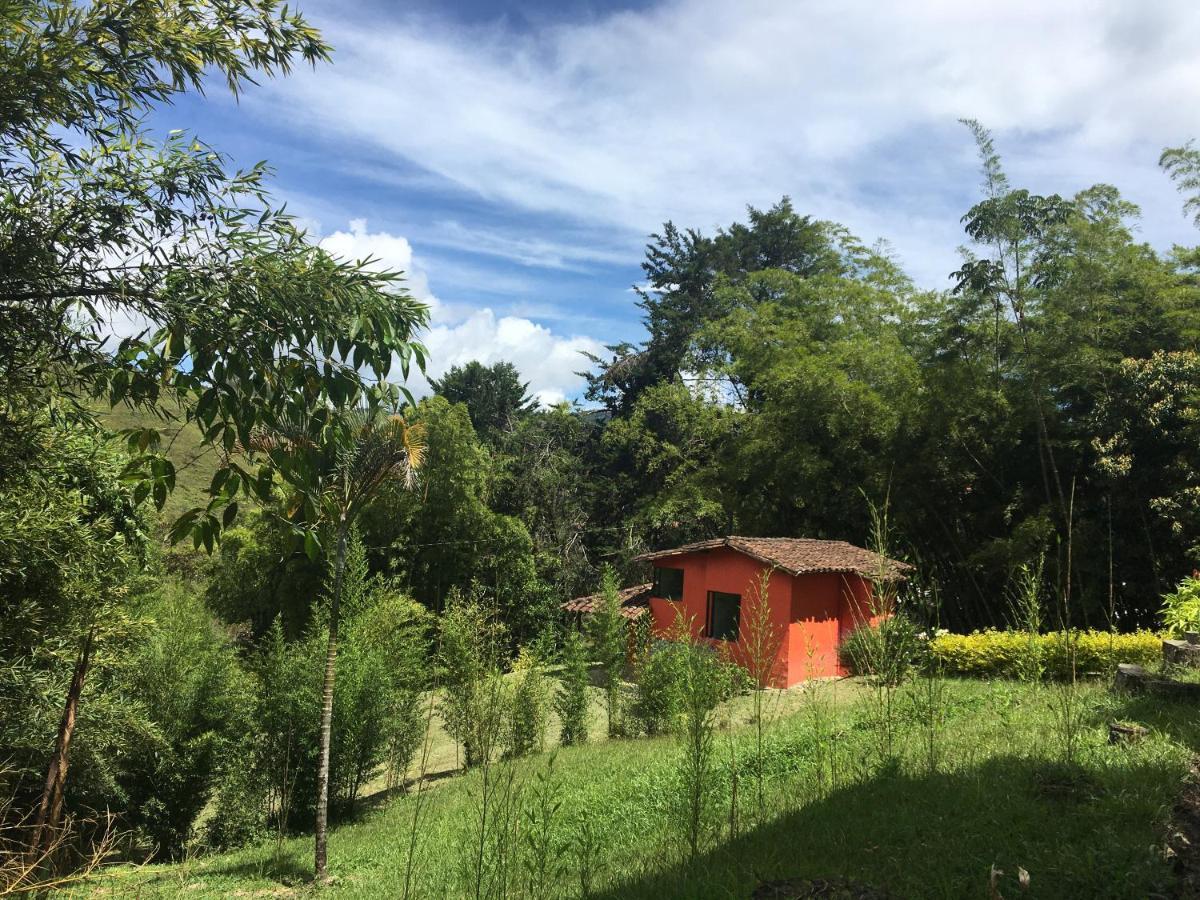 Ecolodge Bahia Del Penon Guatape Exterior photo