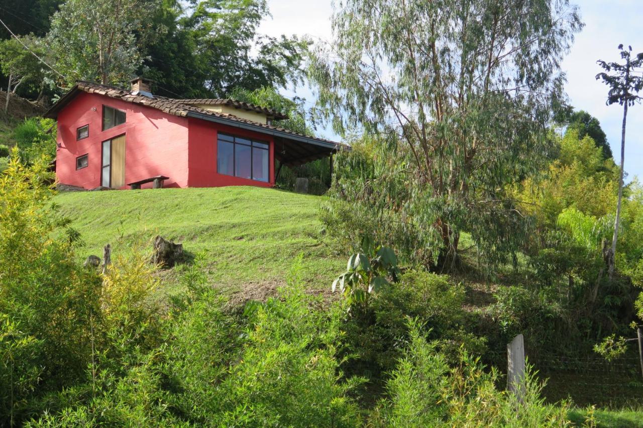 Ecolodge Bahia Del Penon Guatape Exterior photo