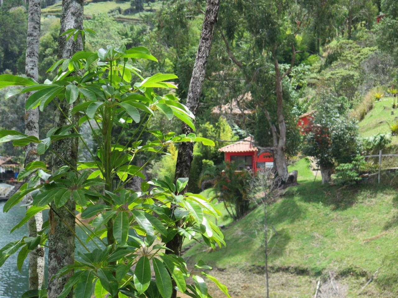 Ecolodge Bahia Del Penon Guatape Exterior photo