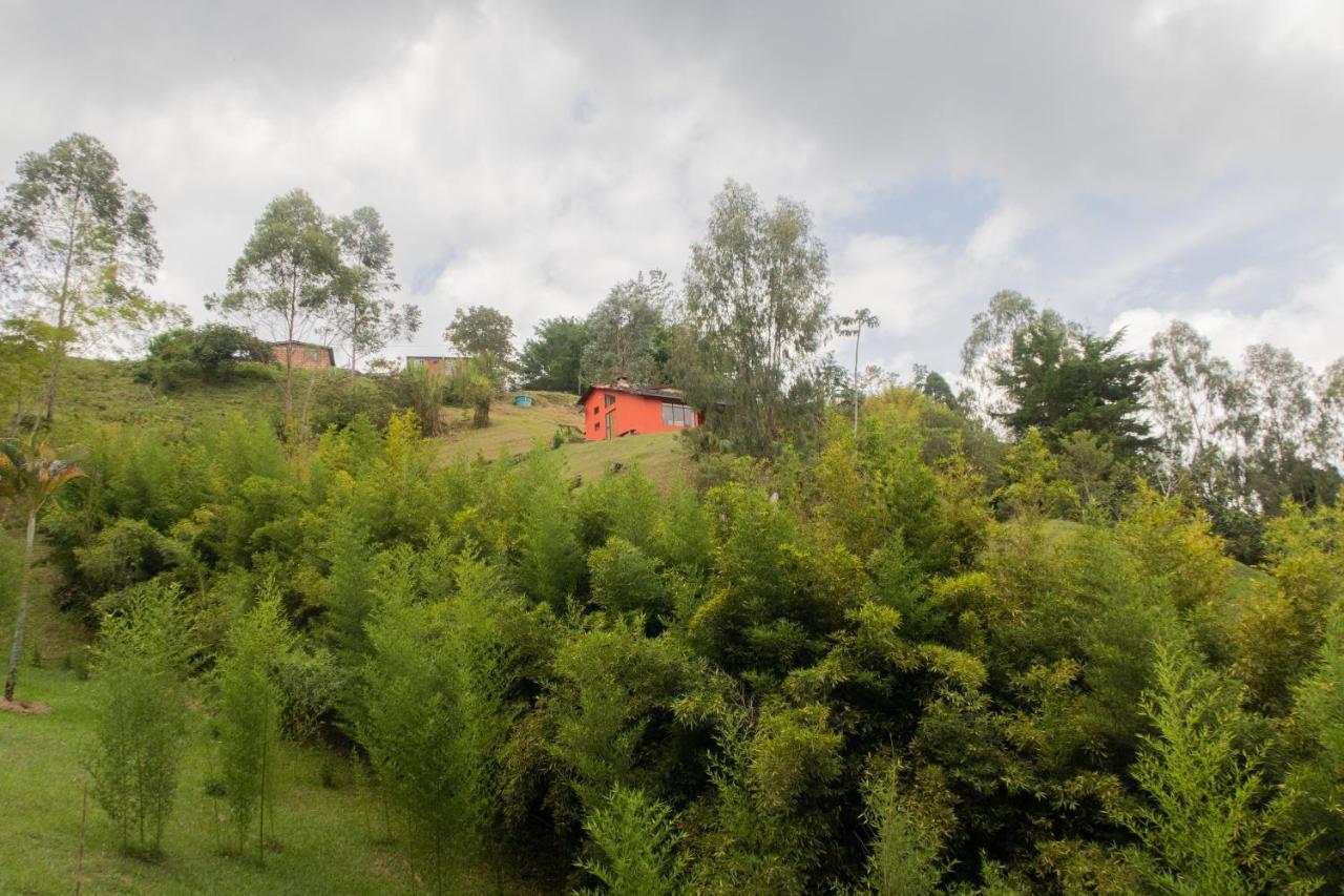 Ecolodge Bahia Del Penon Guatape Exterior photo